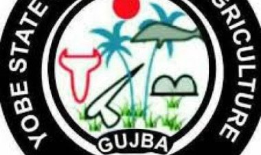 Yobe State College of Agriculture Admission Form, 2023/2024 Session