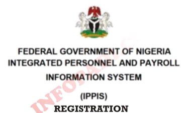 IPPIS Salary Payment Commences for Civil Servants After Technical Glitches**