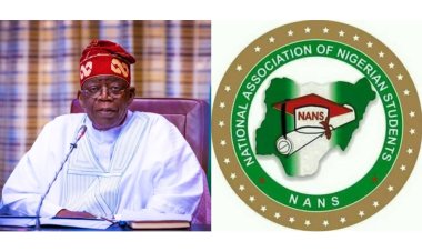 NANS Urges President Tinubu to Convert Student Loan Policy to Scholarships