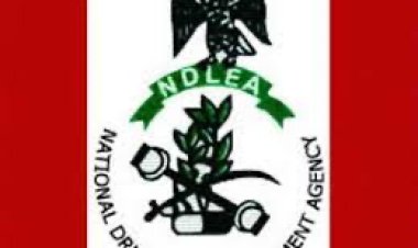 NDLEA charges school principals on war against drug abuse