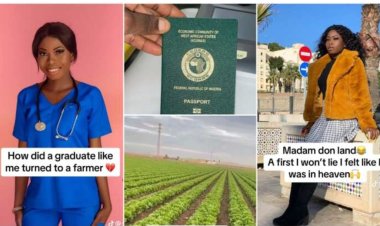 Nigerian Graduate Transitions to Farming Abroad After Selling Business and Relocating to Spain
