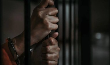 Bauchi Chief Judge Frees Varsity Student Jailed Over N34,000 Loan Repayment Failure