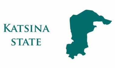 Commissioner Uncovers 152 Fraudulent Names  in Katsina Teacher Recruitment List