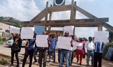 Frustration Arise as Staff, students of Ondo varsity Cry Out over activities of land grabbers
