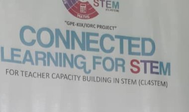 Niger Emphasize on Need to Embrace CL4STEM Project