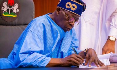 Hope as FG Speaks Again, Reveals Date Loan for Nigerian Students Will Take Off