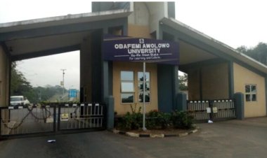 OAU Vice Chancellor Urges FG Intervention for Power Project Completion