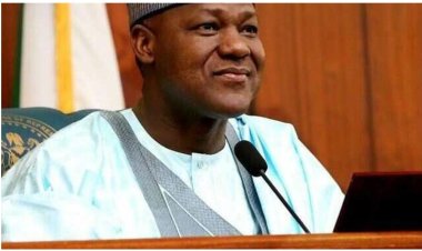 Dogara Urges Federal Government to Extend Student Loans to Private University Students