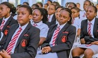 Schools Pay 42% More Taxes by Q3 Amid Concerns Over High Cost of Education in Nigeria