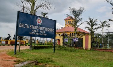 Suspected 'Yahoo Boy' Causes Fatal Accident, Claiming Three  Lives in Delta State Polytechnic