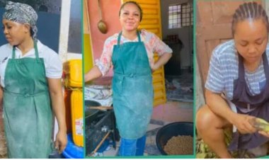 University Graduate Transforms Career: From Salary Job to Thriving Plantain Chips Business