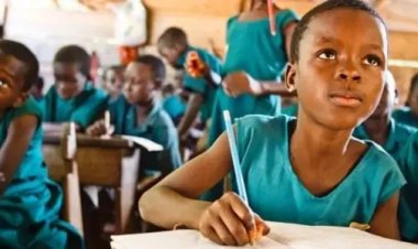 Federal Government Calls for Effective Policy Implementation in Education Sector