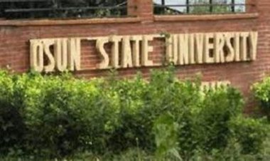 Osun University Medical Students Bag WAPCo Scholarship