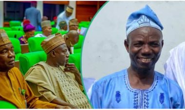 Education Expert Advises Against Establishing New Universities in Nigeria