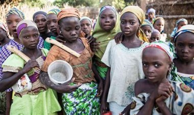 CSOs Lament Rise in Out-of-School Children in Zamfara Following Insecurity