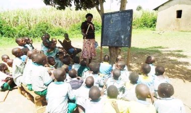 Compassion in Action: Corps Member Rahila Garba Builds Classrooms, Brings Excitement to Bauchi School Where Pupils Learn under Trees