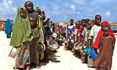 AAUA Don Raises Alarm Over Food Insecurity in Nigeria, Proffers Solutions