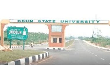 UNIOSUN Medical Students Secure WAPCo Scholarships