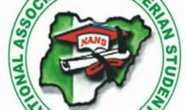 NANS Reacts to Exemption of Tertiary Institutions From IPPIS