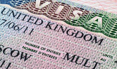UK Set to Deport International Students Over Poor Grades