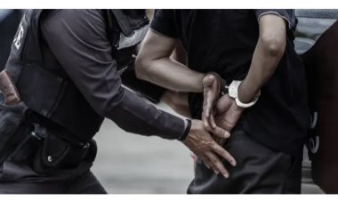 300-level student University Student Arrested For Possession of Gun on Campus