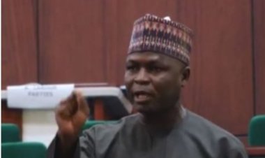 87 Chibok Girls Remain in Boko Haram Captivity, Rep Reveals