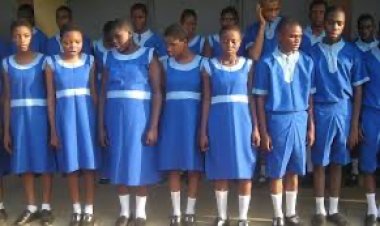 Pacelli School For The Visually Impaired Lament Over Insufficiency In Funds, Flooding