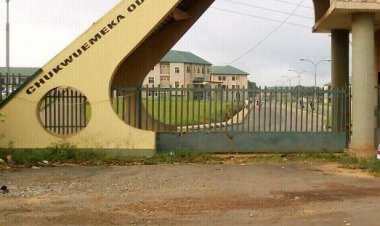 Anambra Resident Doctors Rally Against Brain Drain, Urge Swift Government Action