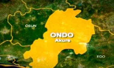 Ondo Tertiary Institutions Workers to Commence Strike Over Unpaid Salaries