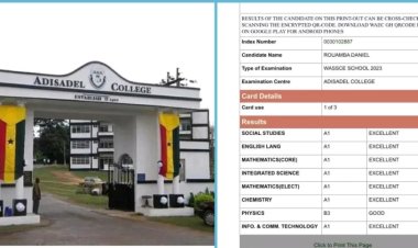 Financial Hurdles Threaten Future of Brilliant WASSCE Top Scorer