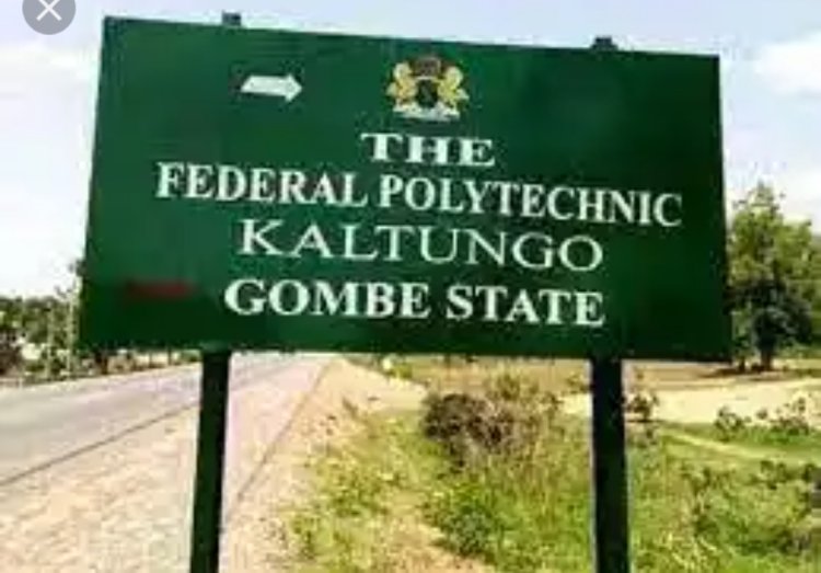 Federal Polytechnic Kaltungo Releases Admission List, 2023/2024