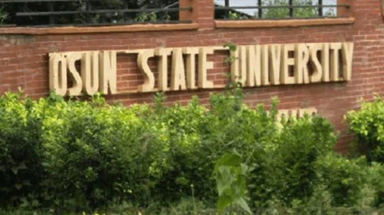 Osun State University Aims for Top 10 Ranking in Africa Amidst National Education Concerns