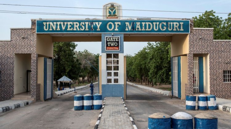 Police Diffuse Bomb planted near University of Maiduguri