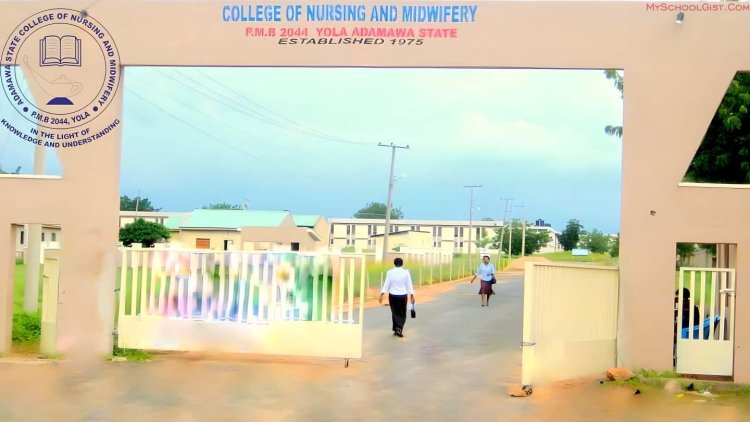 Adamawa College of Nursing & Midwifery Admission Form 23/2024