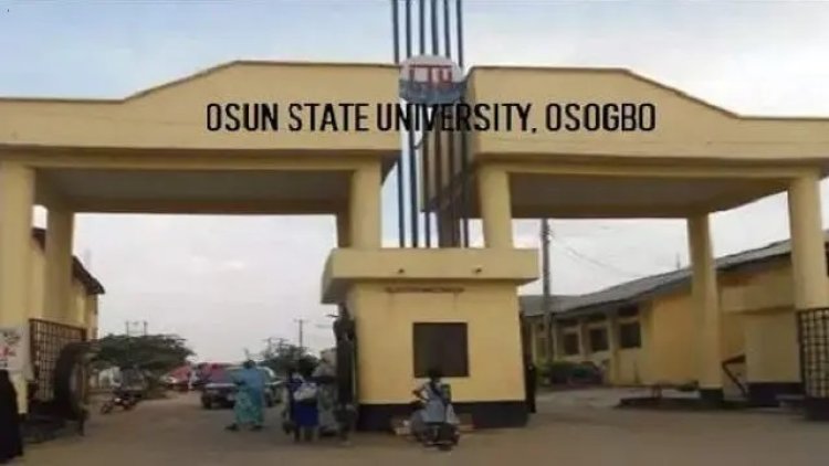 Osun State University Professor Declares Slavery Will Never Be Fully Abolished