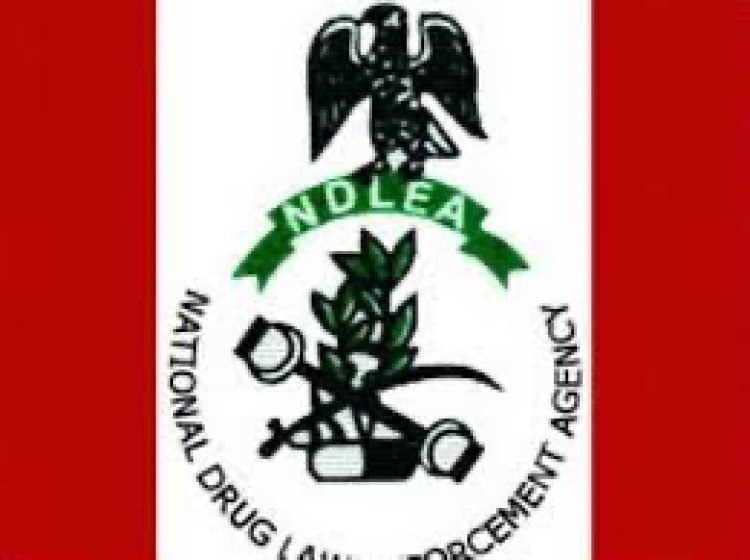 NDLEA charges school principals on war against drug abuse