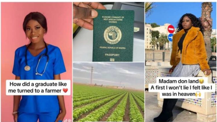 Nigerian Graduate Transitions to Farming Abroad After Selling Business and Relocating to Spain