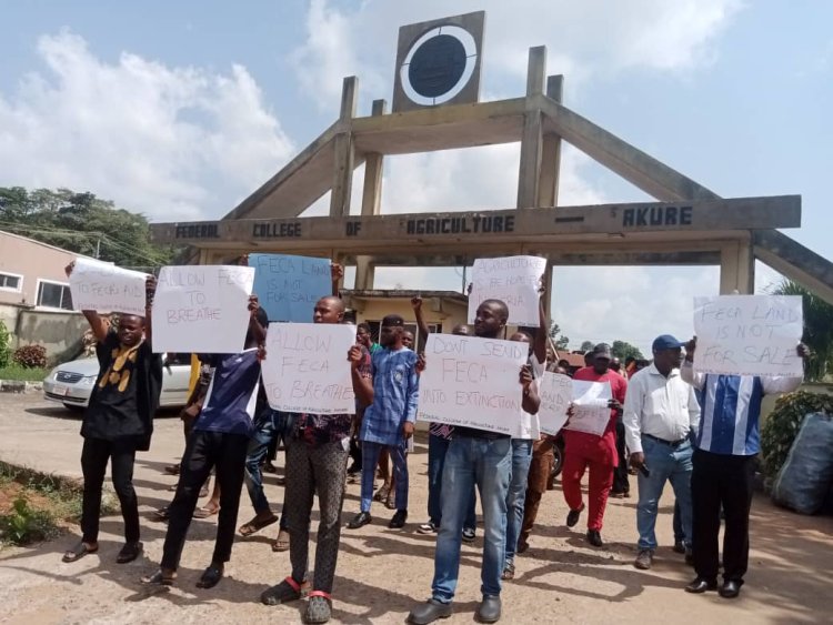 Frustration Arise as Staff, students of Ondo varsity Cry Out over activities of land grabbers