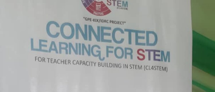 Niger Emphasize on Need to Embrace CL4STEM Project