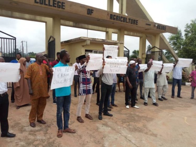 Ondo FECA Workers, Students Protest Land Grabbing