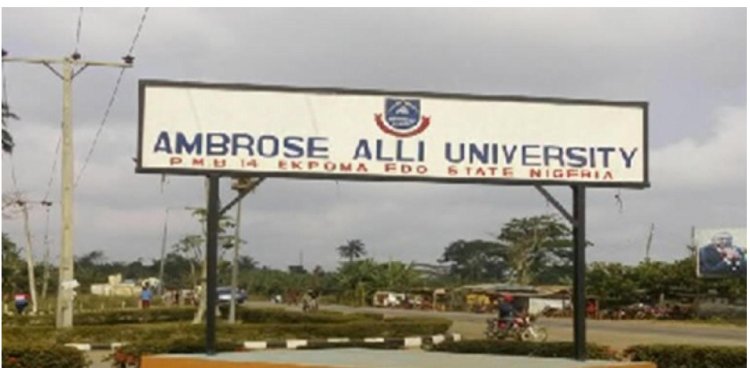 Nigerian Medical Students Seek Urgent MDCN Intervention in Ambrose Alli University Controversy