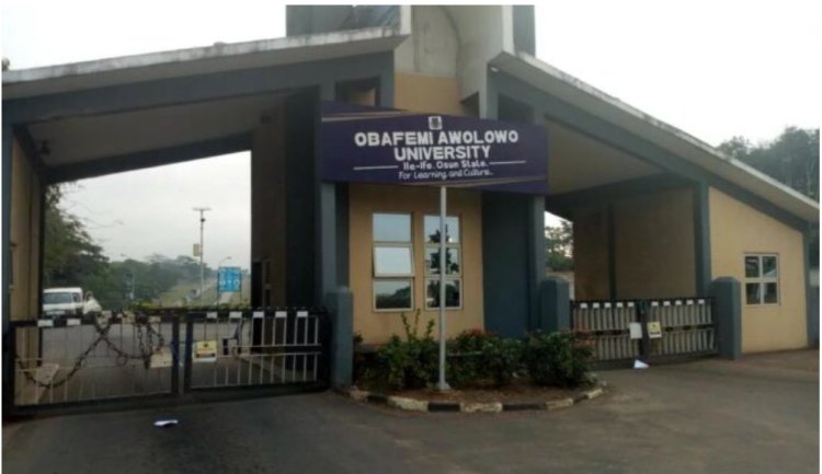 OAU Vice Chancellor Urges FG Intervention for Power Project Completion