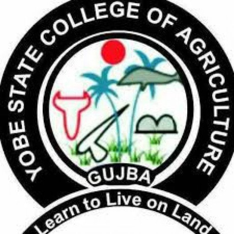 Yobe State College of  Agriculture Certificate Courses 2023/2024