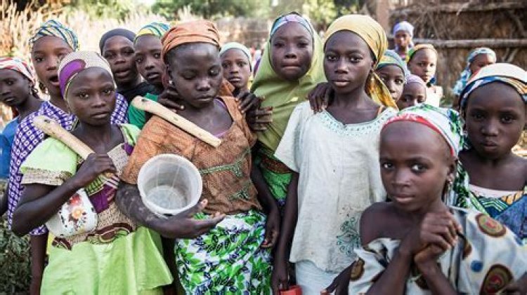 CSOs Lament Rise in Out-of-School Children in Zamfara Following Insecurity