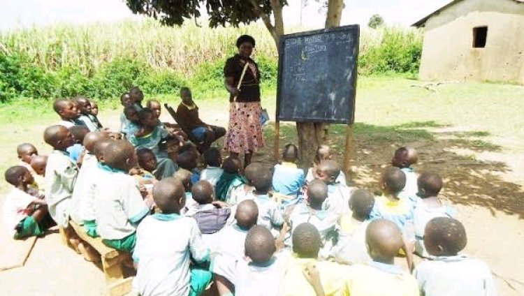 Compassion in Action: Corps Member Rahila Garba Builds Classrooms, Brings Excitement to Bauchi School Where Pupils Learn under Trees