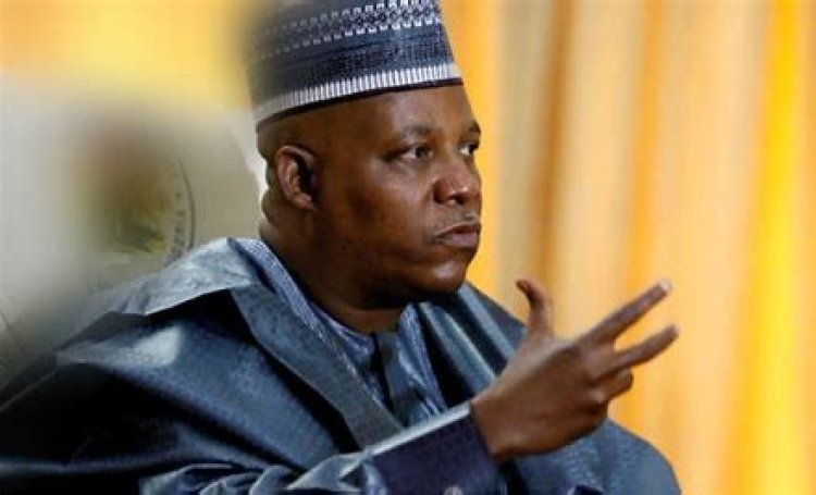 Shettima Urges Youths to Foster Innovative Ideas for a Brighter Future