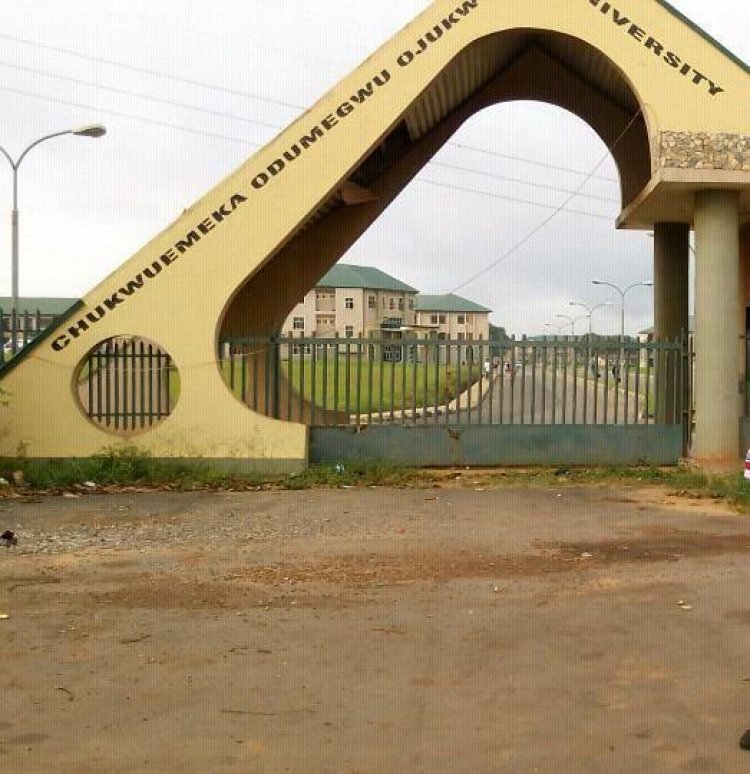 Anambra Resident Doctors Rally Against Brain Drain, Urge Swift Government Action