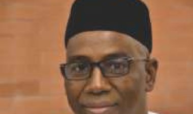 BUK Professor Aliyu Mu'azu Reappointed as DTLC Chairman