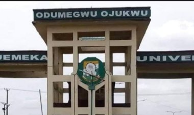 COOU Launches Dedicated Information Line for Student Grievances