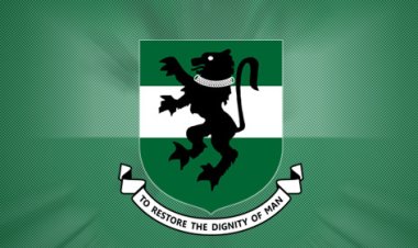 Former UNN Professor Seeks Political Aide Position for Better Pay
